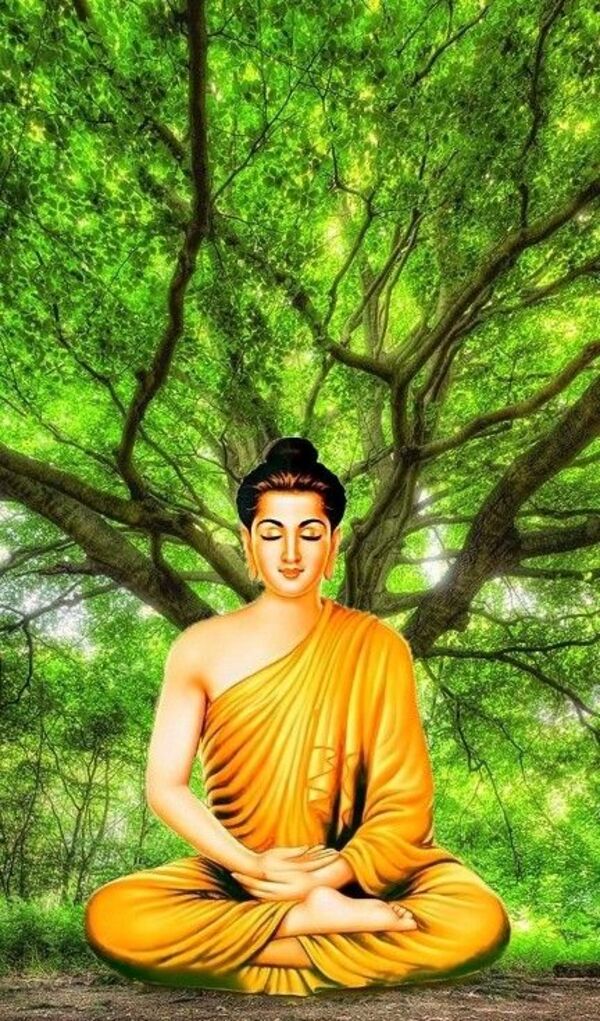 Hình Phật Pháp Khổ Lớn Chất Lượng Cao