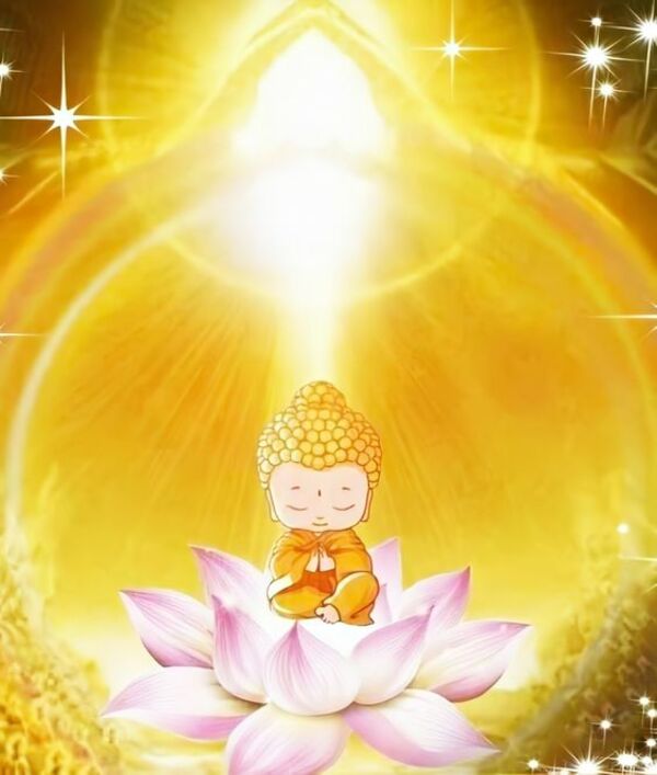 Ý nghĩa của hoa sen vô Phật giáo không nhiều người biết