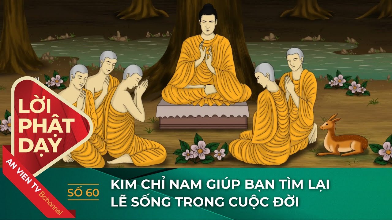 Kim chỉ nam giúp bạn tìm lại lẽ sống trong cuộc đời | Lời Phật dạy