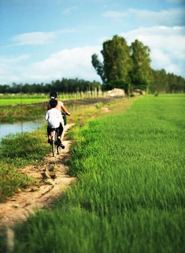 Mê mẩn những hình ảnh đẹp về làng quê Việt Nam đẹp như tranh vẽ