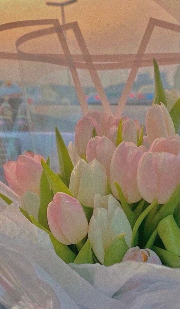 hinh anh hoa tulip vang