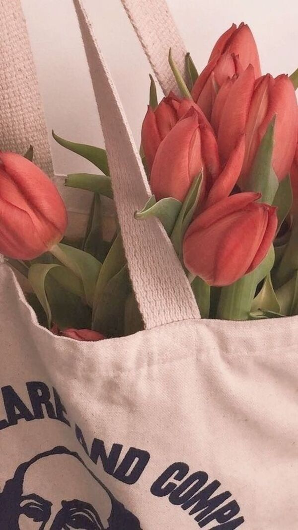 hinh nen hoa tulip cho may tinh