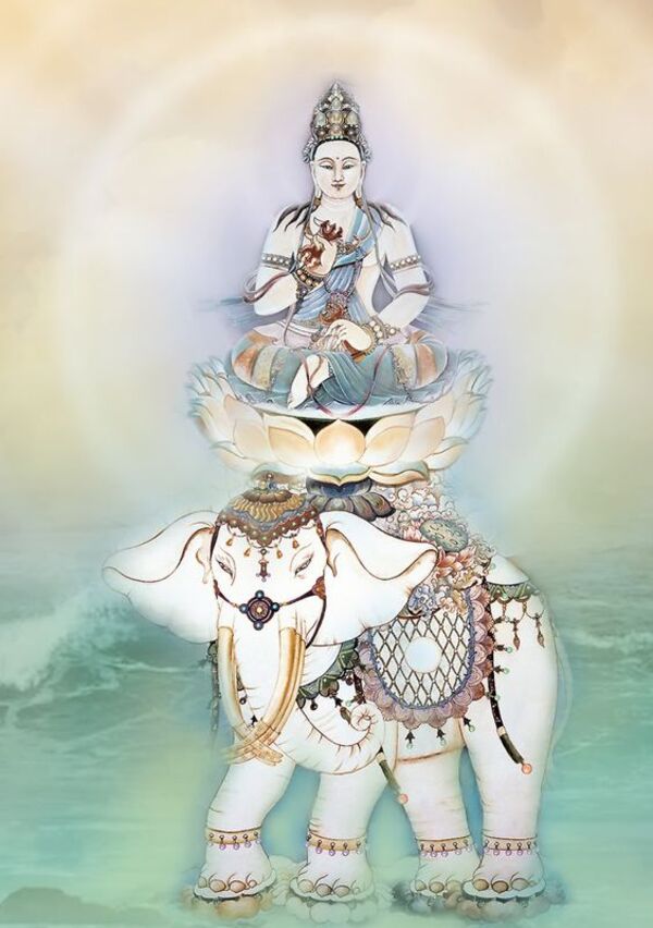 Ngồi trên voi trắng là một hình ảnh cực kỳ đặc biệt và nhiều ý nghĩa trong đạo Phật. Voi trắng thể hiện sự thanh tao và vẻ đẹp tuyệt đối. Hãy để mình được thưởng ngoạn những hình ảnh liên quan đến ngồi trên voi trắng và cảm nhận sự thanh thản trong tâm hồn.