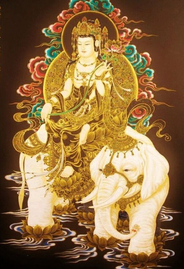 Hình Ảnh Phổ Hiền Bồ Tát  Samantabhadra Bodhisattva  Diễn Đàn Phật Pháp