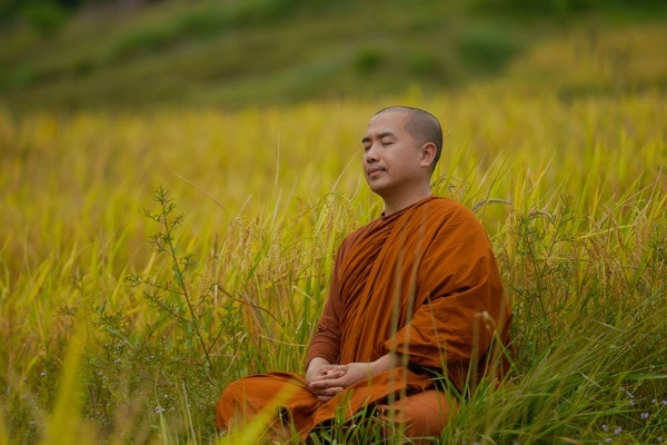 Thiền Sư Thích Minh Niệm: Không Bùn Thì Cũng Không Sen